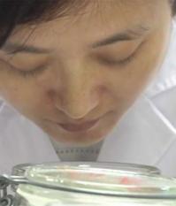 Золотые носы на службе у компании Форд