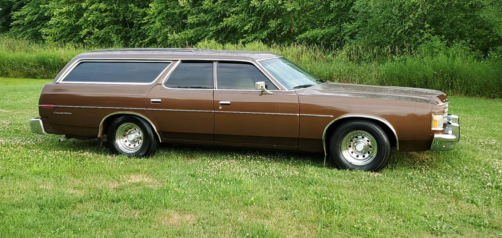 Ford Country Sedan 1974 года